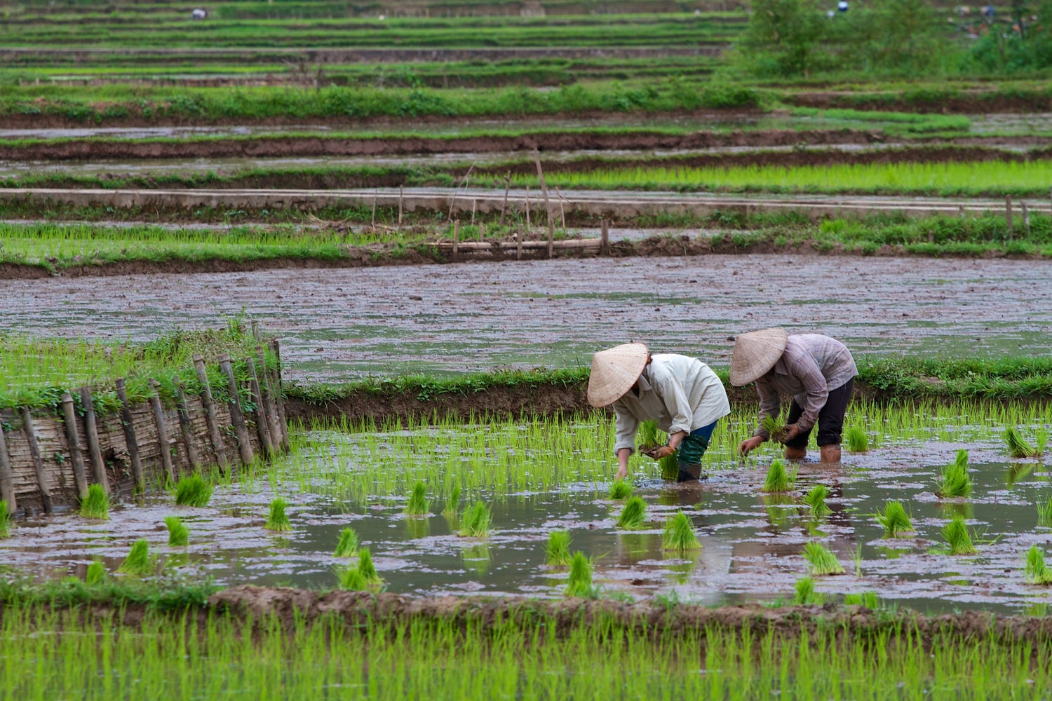 mai chau tours 4