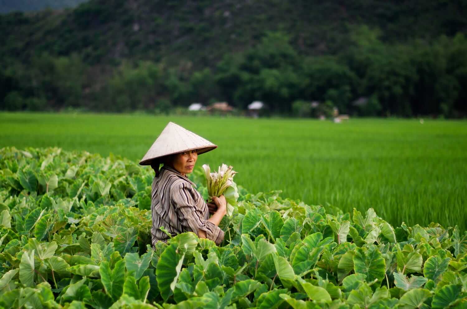 mai chau tours 11