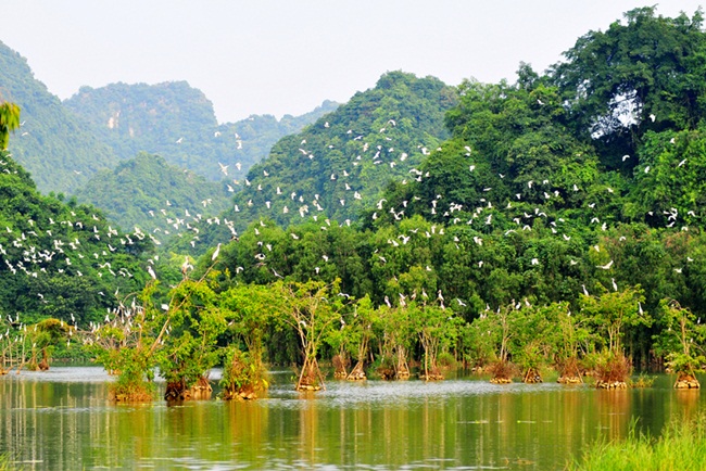 tam coc 1