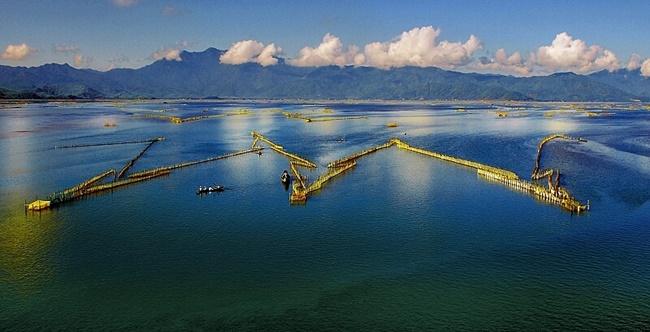 tam giang lagoon 6