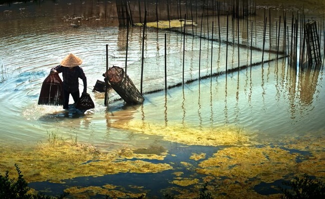 tam giang lagoon 7