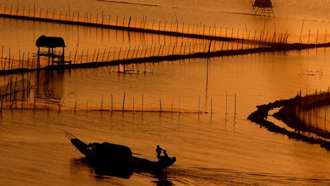 tam giang lagoon 3