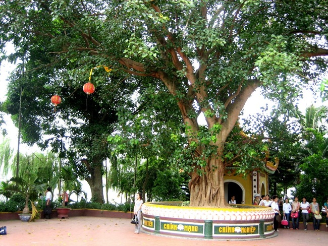 Tran Quoc Pagoda 4